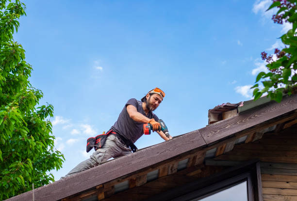 Best Roof Leak Repair  in Alpine, UT